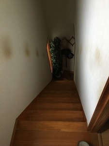 s-IMG_4543.jpg