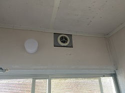 20201272.jpg