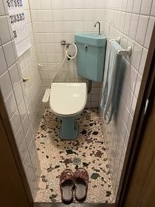 2020761.jpg
