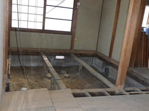 IMGP0020.JPG